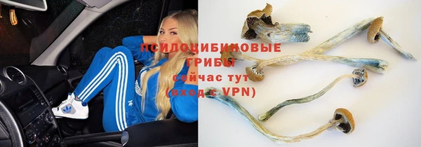 прущие крисы Алзамай