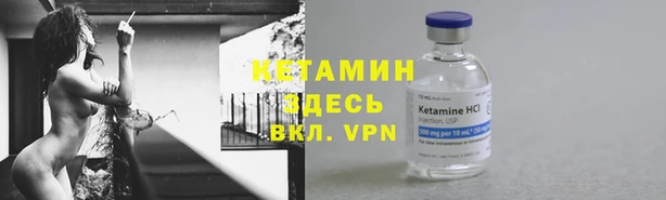 ПСИЛОЦИБИНОВЫЕ ГРИБЫ Алексин