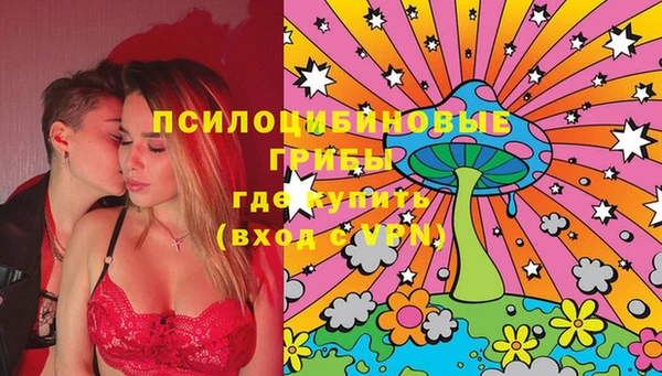 ПСИЛОЦИБИНОВЫЕ ГРИБЫ Алексин