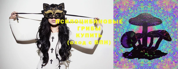 прущие крисы Алзамай